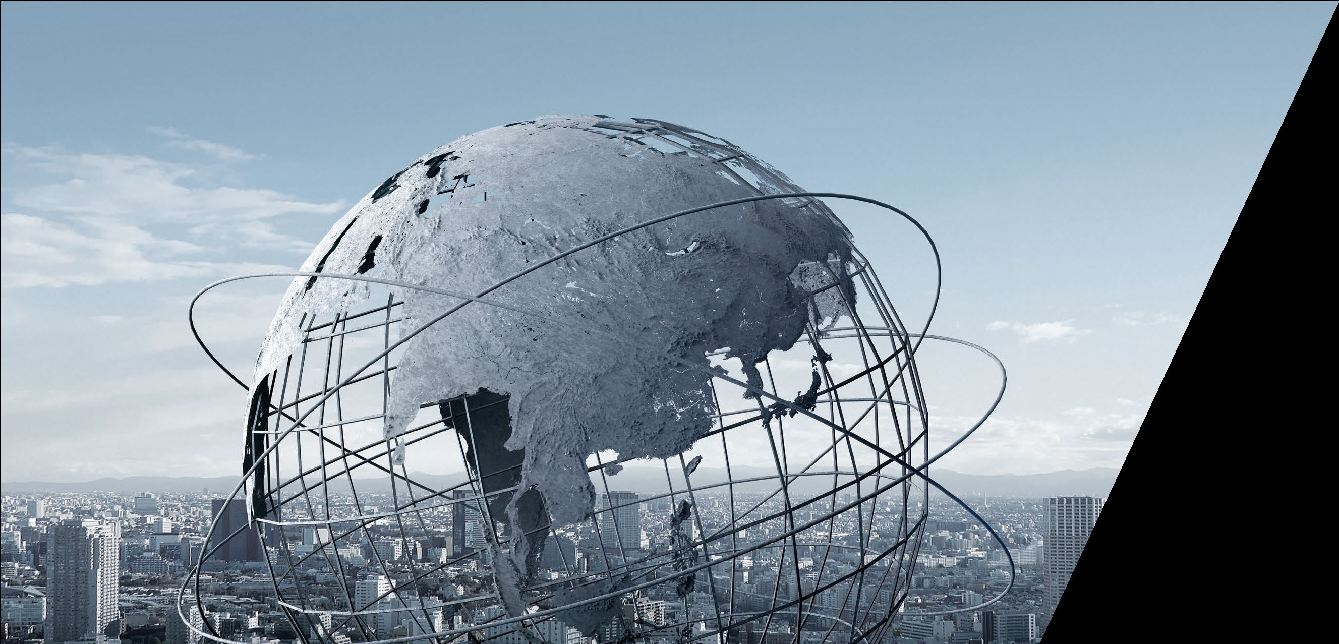 Company global business